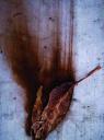 Trotoart-1