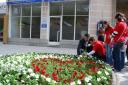 Mayor Azis sowed violets-1